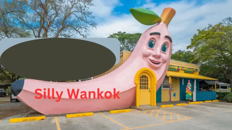 Silly Wankok